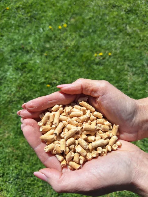 O nas - Skład Pelletu Justyna Borkowska